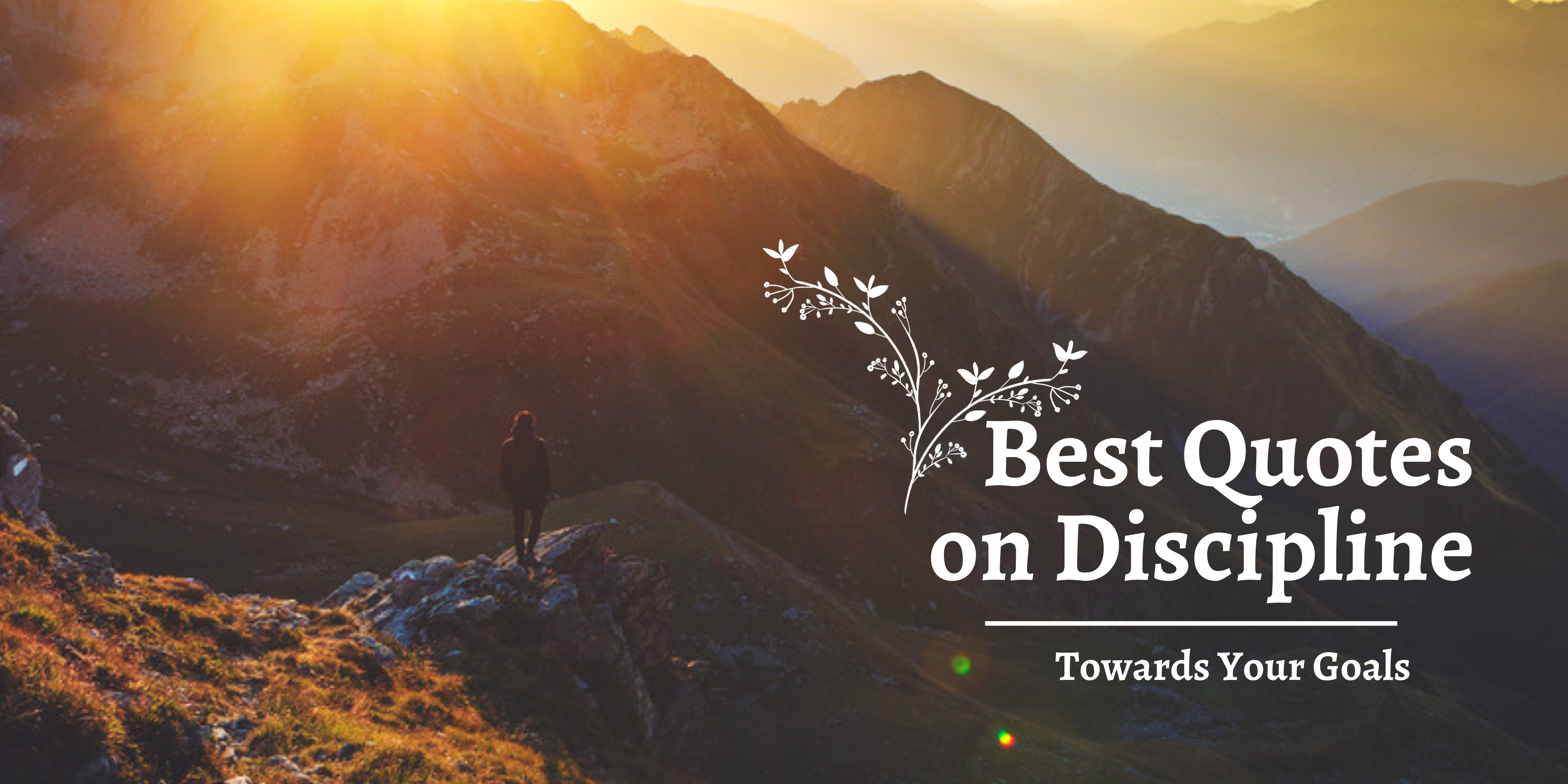 Best Quotes to Help You Stay Disciplined Towards Your Goals